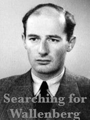 Searching for Wallenberg series tv