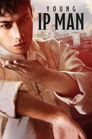 Ip Man : Naissance d'un combattant (2020)