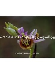 Orchids & Irises series tv