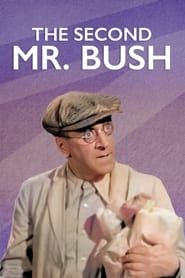The Second Mr. Bush series tv