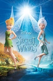 Secret of the Wings series tv