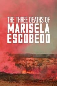 Las tres muertes de Marisela Escobedo (2020)