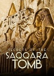 Secrets of the Saqqara Tomb series tv