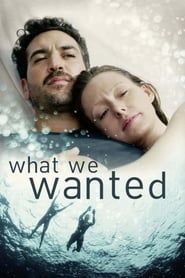 What We Wanted series tv