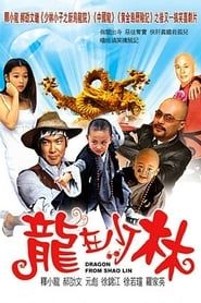 Dragon from Shaolin series tv
