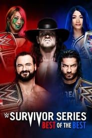 WWE Survivor Series 2020 series tv