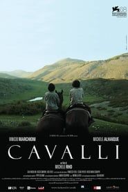 Image Cavalli 2011