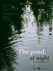 The pond, at night