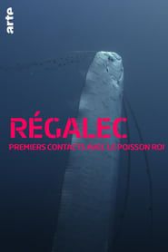 Image Régalec, premiers contacts avec le poisson roi