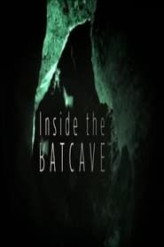 Image Inside the Bat Cave 2020