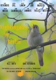 Image Nightingales in Berlin