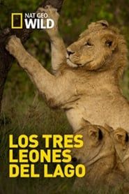 Los Tres Leones Del Lago series tv