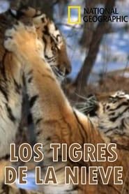 Los tigres de la nieve (1996)