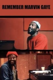watch Remember Marvin Gaye