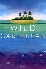 Wild Caribbean series tv