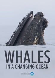 Whales in a Changing Ocean 2021 streaming