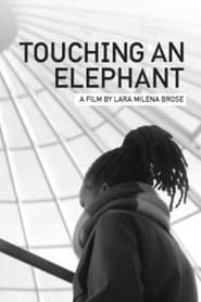 Image Touching An Elephant