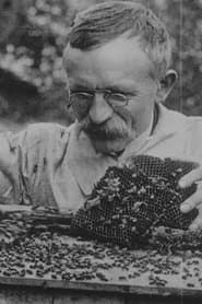 Image L'apiculture 1913