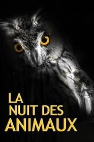 La Nuit des Animaux series tv