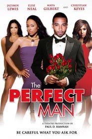 The Perfect Man 2011 streaming