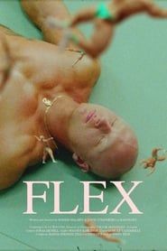 Flex series tv