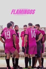 Flamingos series tv