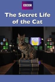 Image The Secret Life of the Cat