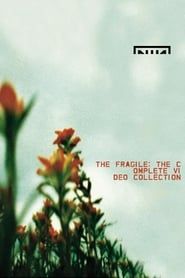 Image Nine Inch Nails: The Fragile Complete Video Collection