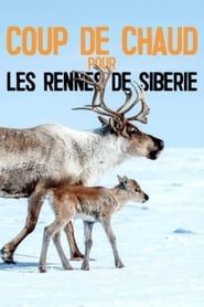Heatstroke for the Siberian Reindeer series tv
