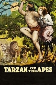 Tarzan chez les singes