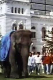 Un elefante en banda series tv