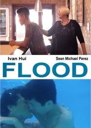 Flood ()