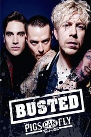 Busted: Pigs Can Fly Tour 2016 2018 streaming