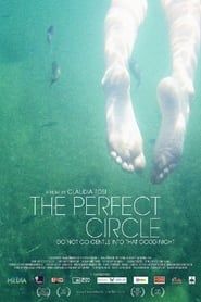 Affiche de The Perfect Circle