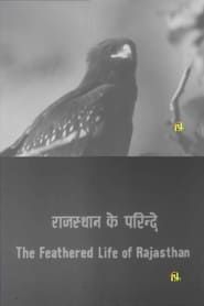 The Feathered Life of Rajasthan series tv