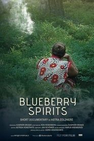 Image Blueberry Spirits