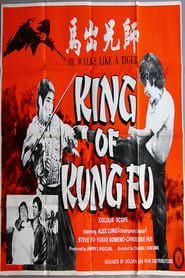 King of Kung Fu series tv