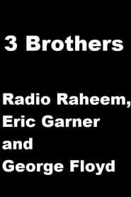 3 Brothers - Radio Raheem, Eric Garner and George Floyd series tv