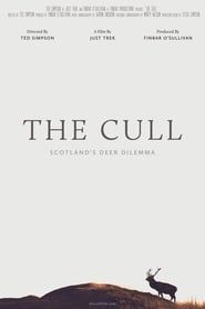 Image The Cull - Scotland's Deer Dilemma