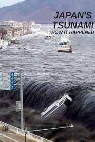 Japan Tsunami: how it happened-hd