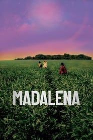 Madalena series tv