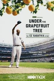 Under The Grapefruit Tree: The CC Sabathia Story-hd