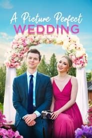A Picture Perfect Wedding series tv