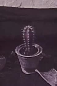 Cactus (1996)