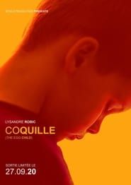 Coquille-hd