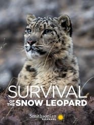 Image Survival Of The Snow Leopard
