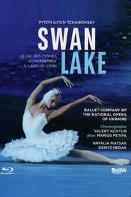 Swan Lake-hd