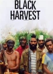 Black Harvest series tv