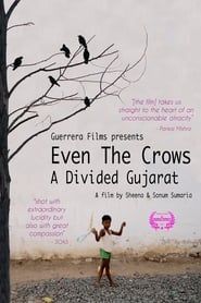 Image Even the Crows: A Divided Gujarat