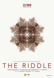The Riddle series tv